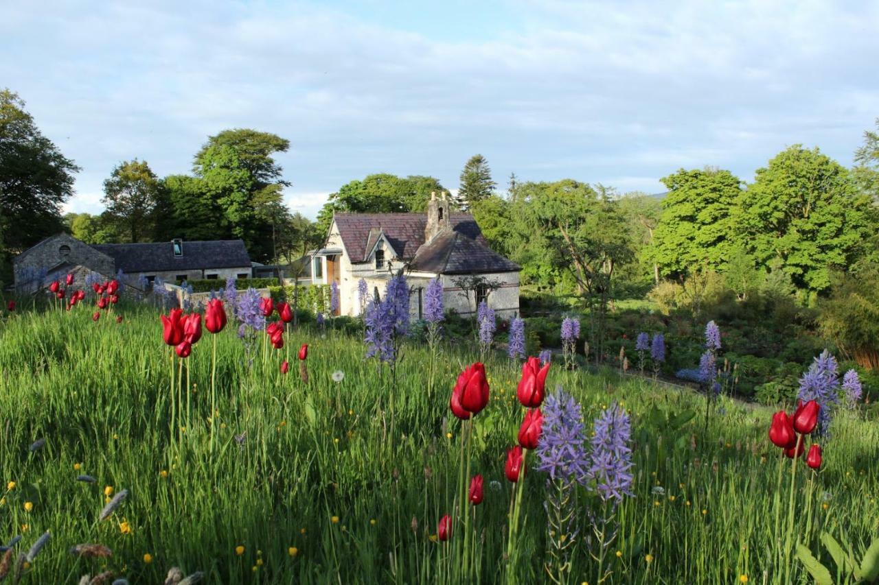 June Blake'S Garden เบลสซิงตัน ภายนอก รูปภาพ